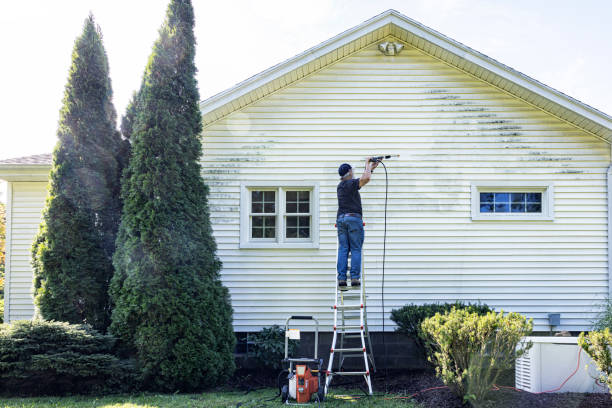 Best Dumpster Area Cleaning  in Bushyhead, OK